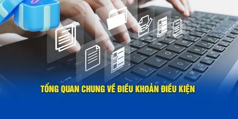 Thông tin về điều khoản điều kiện