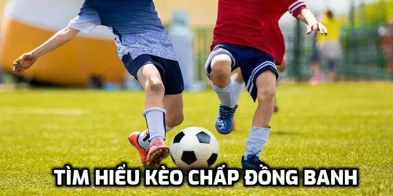 Thể loại kèo cá cược đồng banh